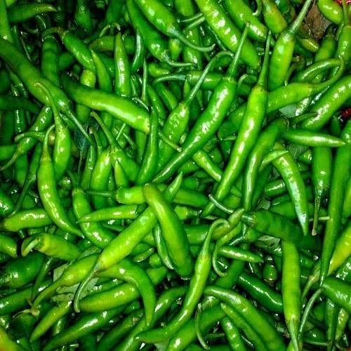 పచ్చిమిర్చి 
